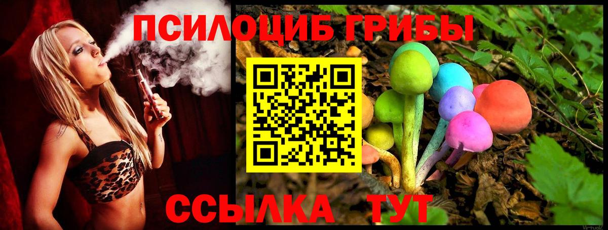 Псилоцибиновые грибы Psilocybe Кировск